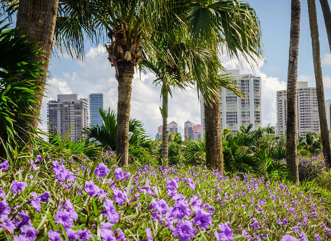 North Miami, FL - View of Purple Wildflowers Next to Palm Trees with Tall Buildings in the Background in North Miami Florida